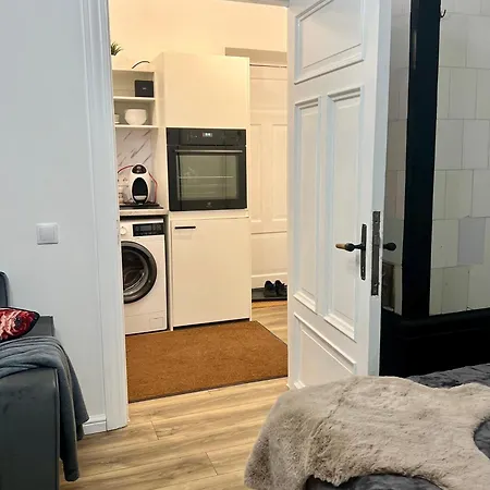 Stylish In Eveles Street Apartment Riga